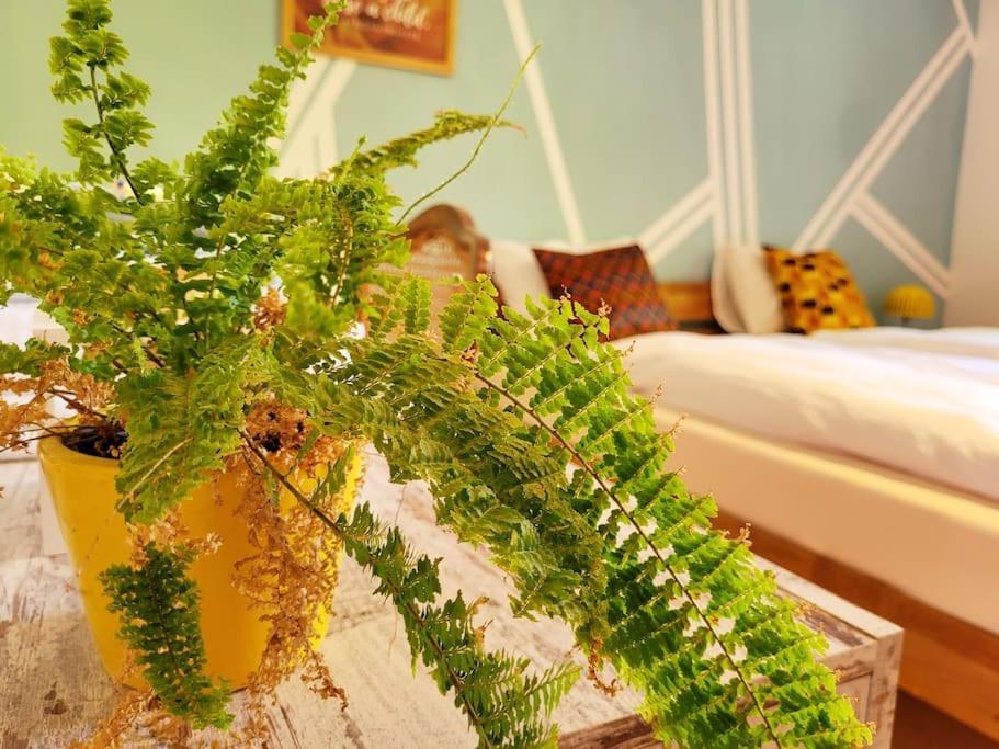 Colourful 2.5 Bedroom With Large Balcony & Garden. Prinzersdorf 外观 照片