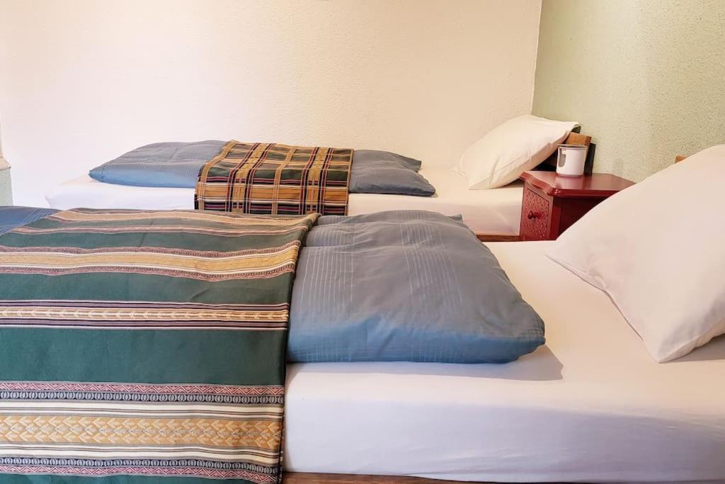 Colourful 2.5 Bedroom With Large Balcony & Garden. Prinzersdorf 外观 照片