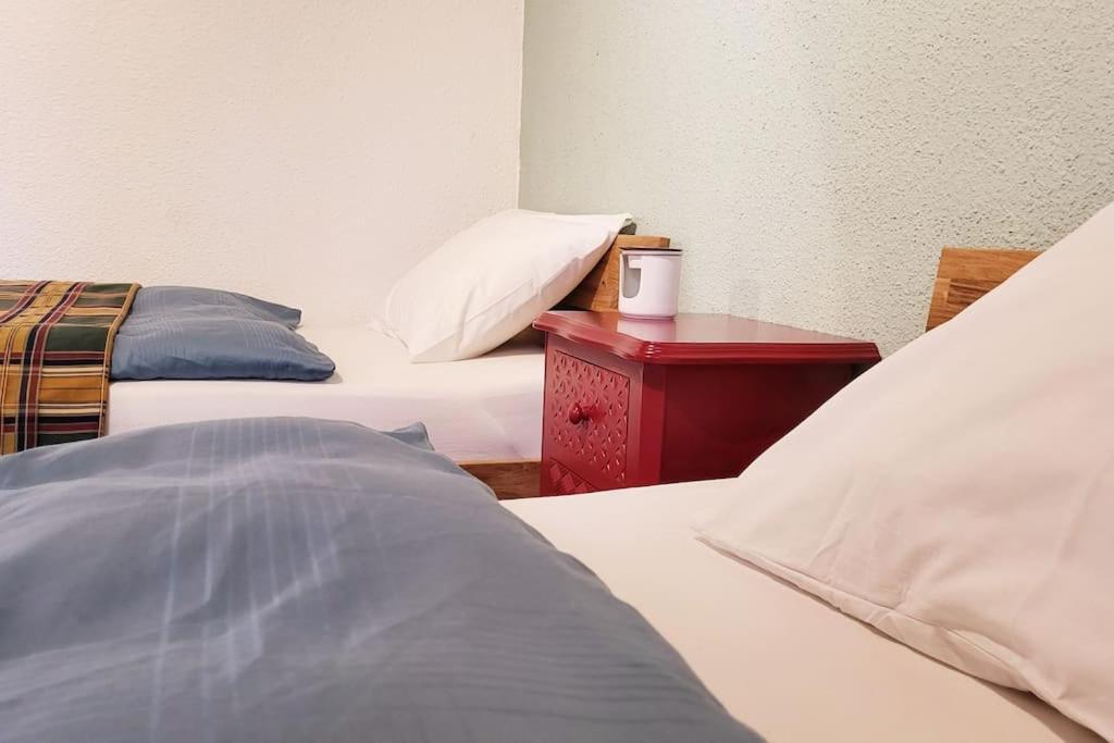 Colourful 2.5 Bedroom With Large Balcony & Garden. Prinzersdorf 外观 照片