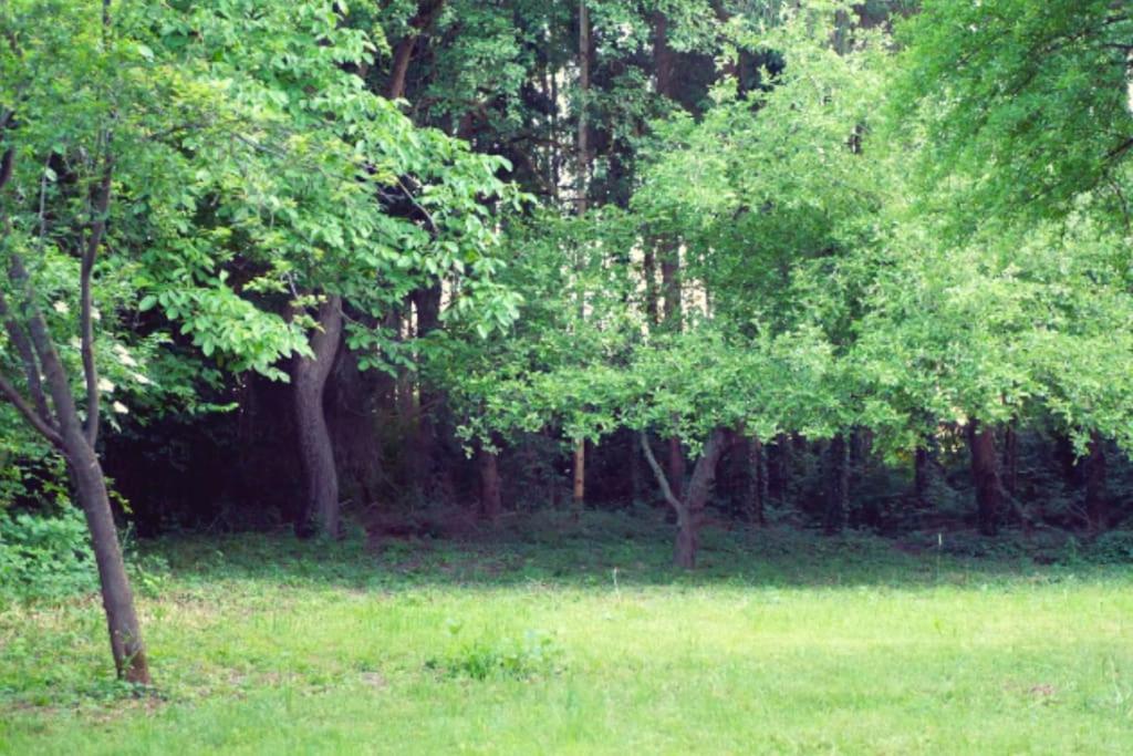 Colourful 2.5 Bedroom With Large Balcony & Garden. Prinzersdorf 外观 照片